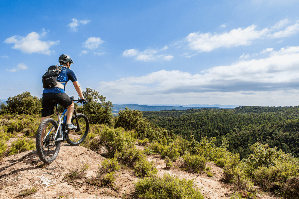 Trackting EVO antifurto Gps E-bike